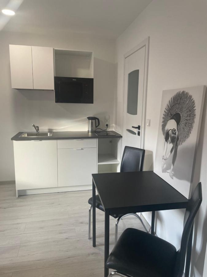 Apartamenty Wisla Centrum エクステリア 写真